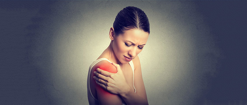 rotator cuff
