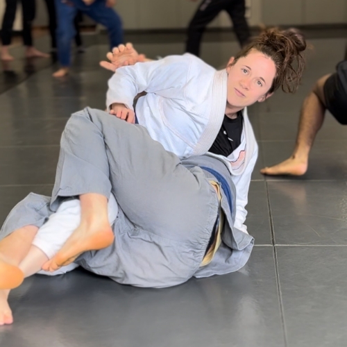 Brazilian-Jiu-Jitsu-Injury-Rehab-and-Performance-500x500-MMA-Rehab-Arlington-VA